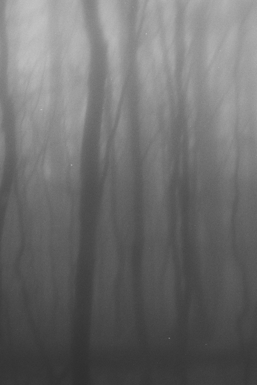An upright frame of pale grey mist in which a few dark vertical shapes stand faintly, most clearly a tall broad trunk left of centre and a thinner one to its right, both fading into the grey as they rise. Fainter vertical streaks appear further right and along the left edge. The tone shifts from lighter grey at the top, brightest in the upper left, to a darker charcoal grey along the bottom third, where all the shapes dissolve. There are no hard edges anywhere and the mist covers everything with a uniform soft grain. Black-and-white photograph on 35mm film, with visible grain.